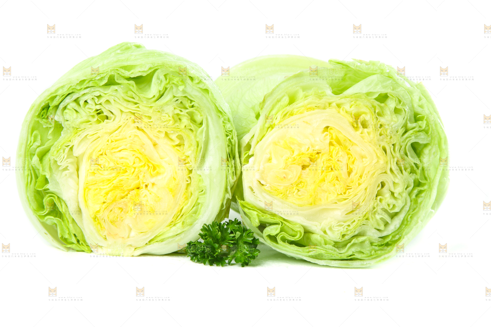 白底上的新鲜生菜