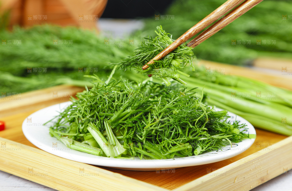 盘子里的云南小茴香菜