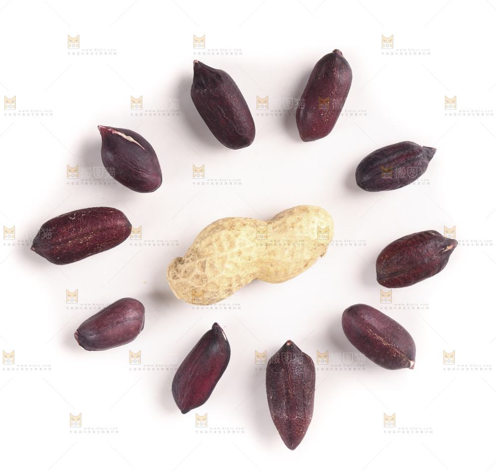 白底上的黑皮花生