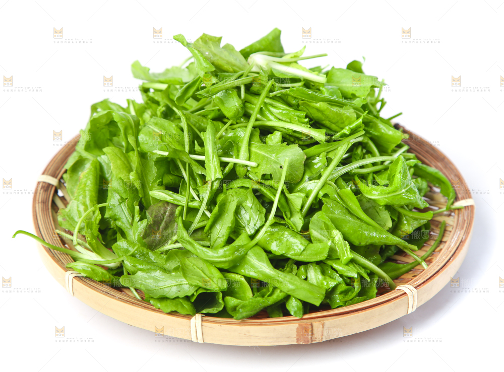 白底上的地菜