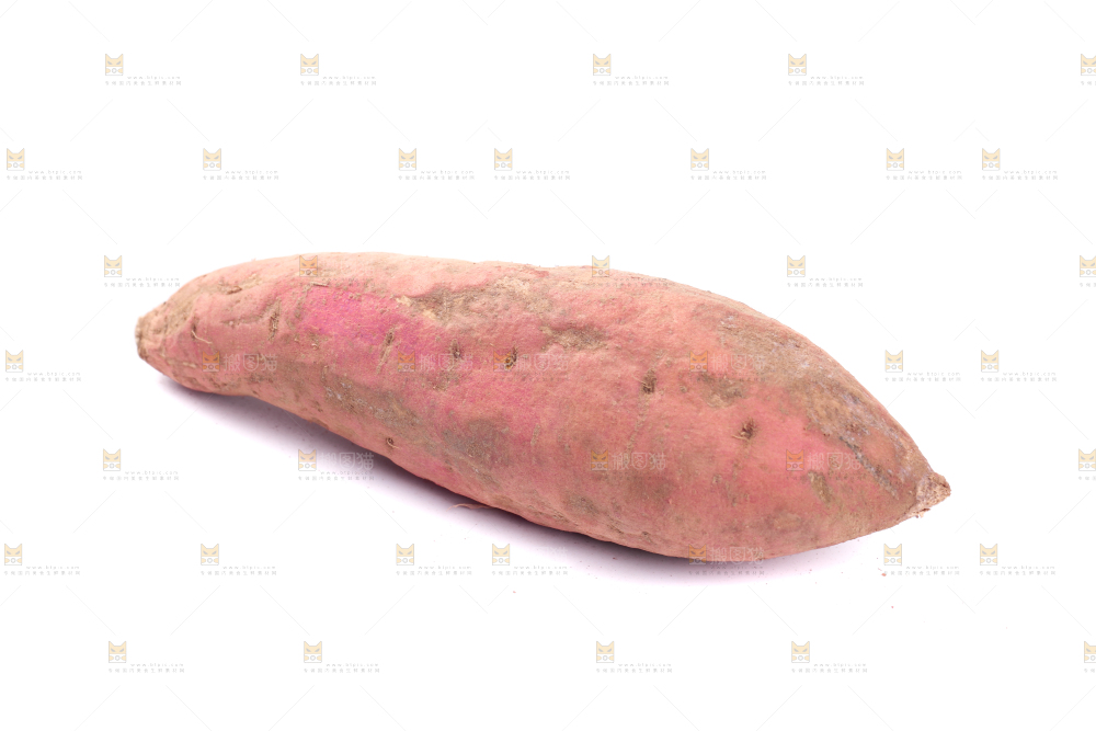 白底上蜜署