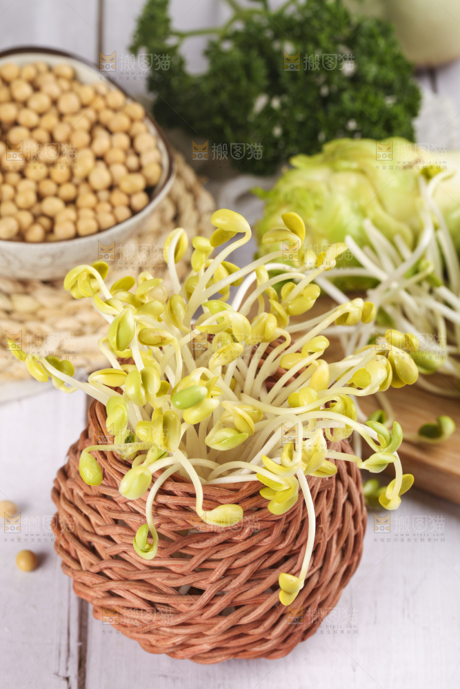 篮子里装着豆芽