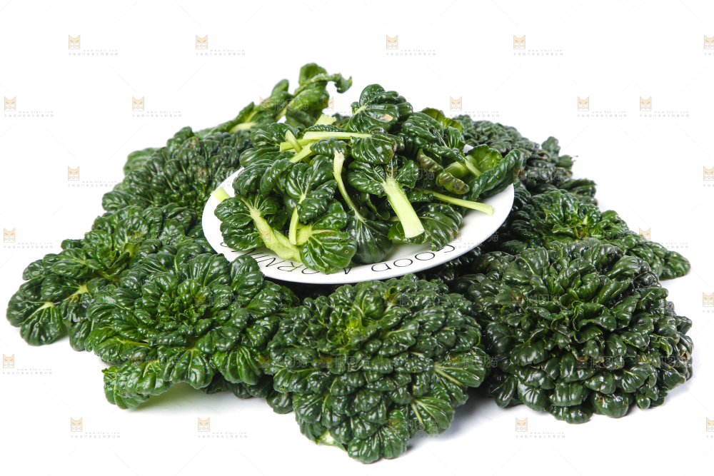 白底上的菊花菜