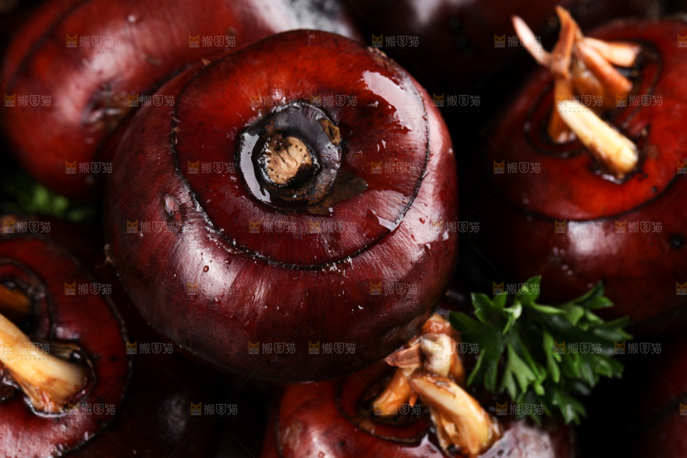 深底上的广西荔浦马蹄