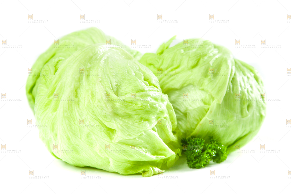 白底上的新鲜生菜
