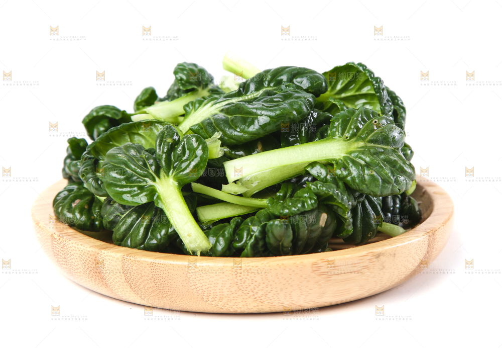 白底上的菊花菜