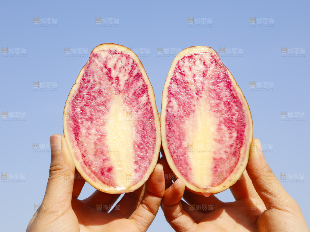 手里拿着丽江七彩土豆