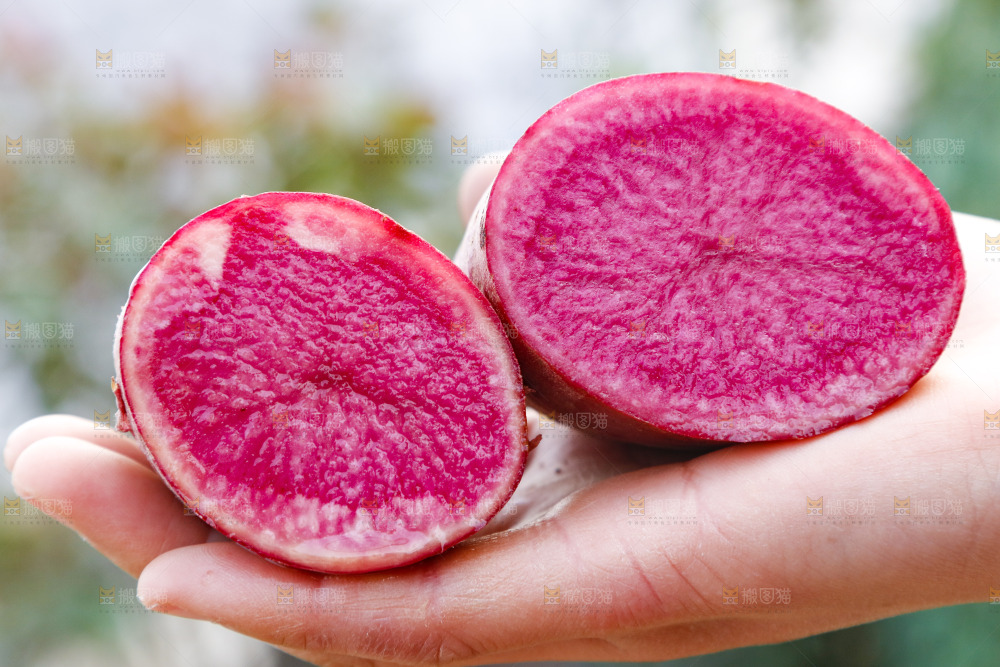 手里拿着新鲜红土豆