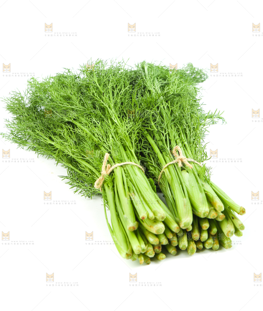 白底上放着小茴香