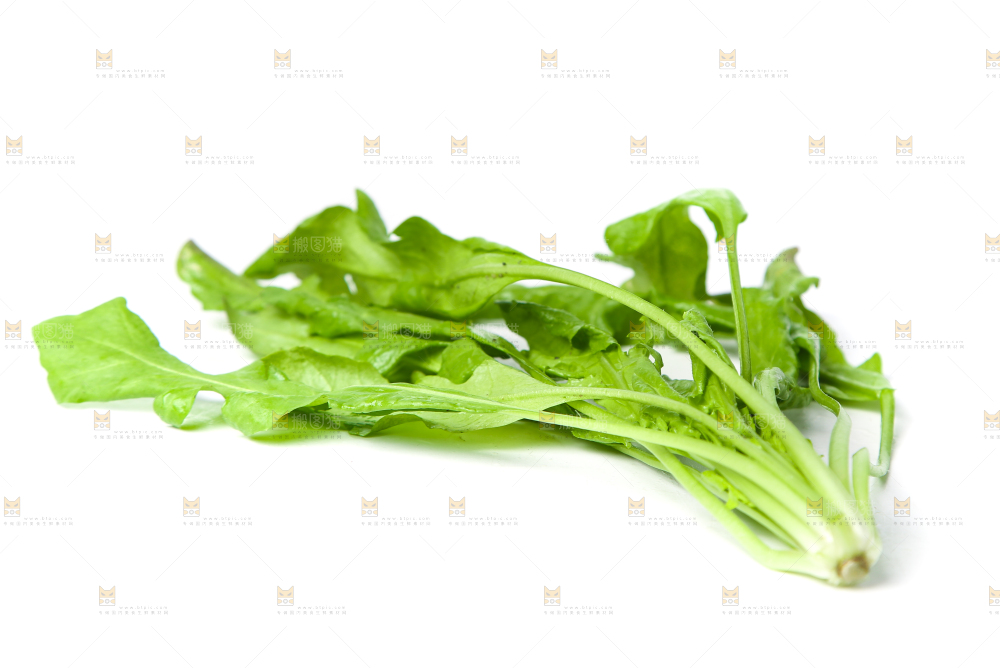 荠菜