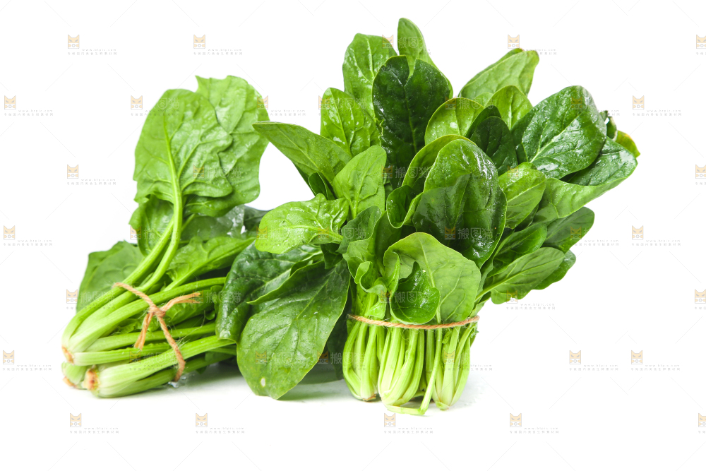白底上的大叶菠菜