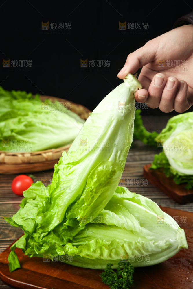 手里拿着生菜