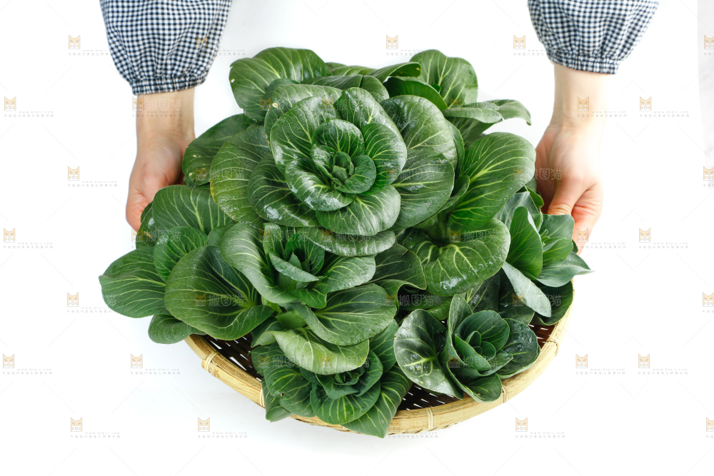 白底上的绿叶菜