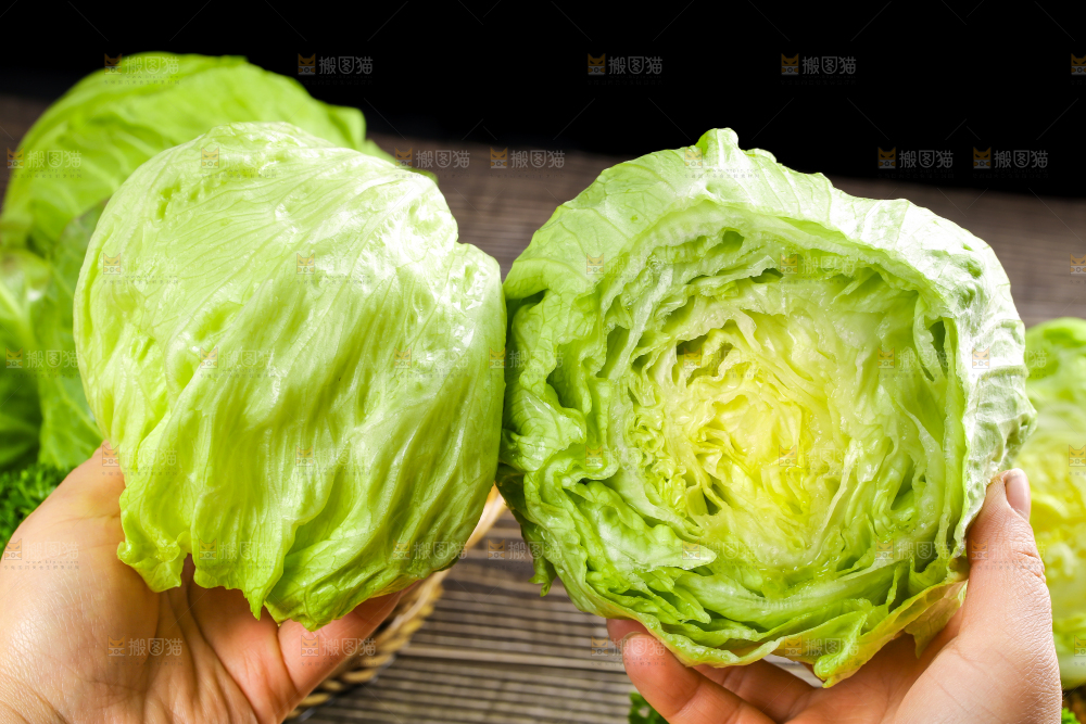 深底上的圆形生菜
