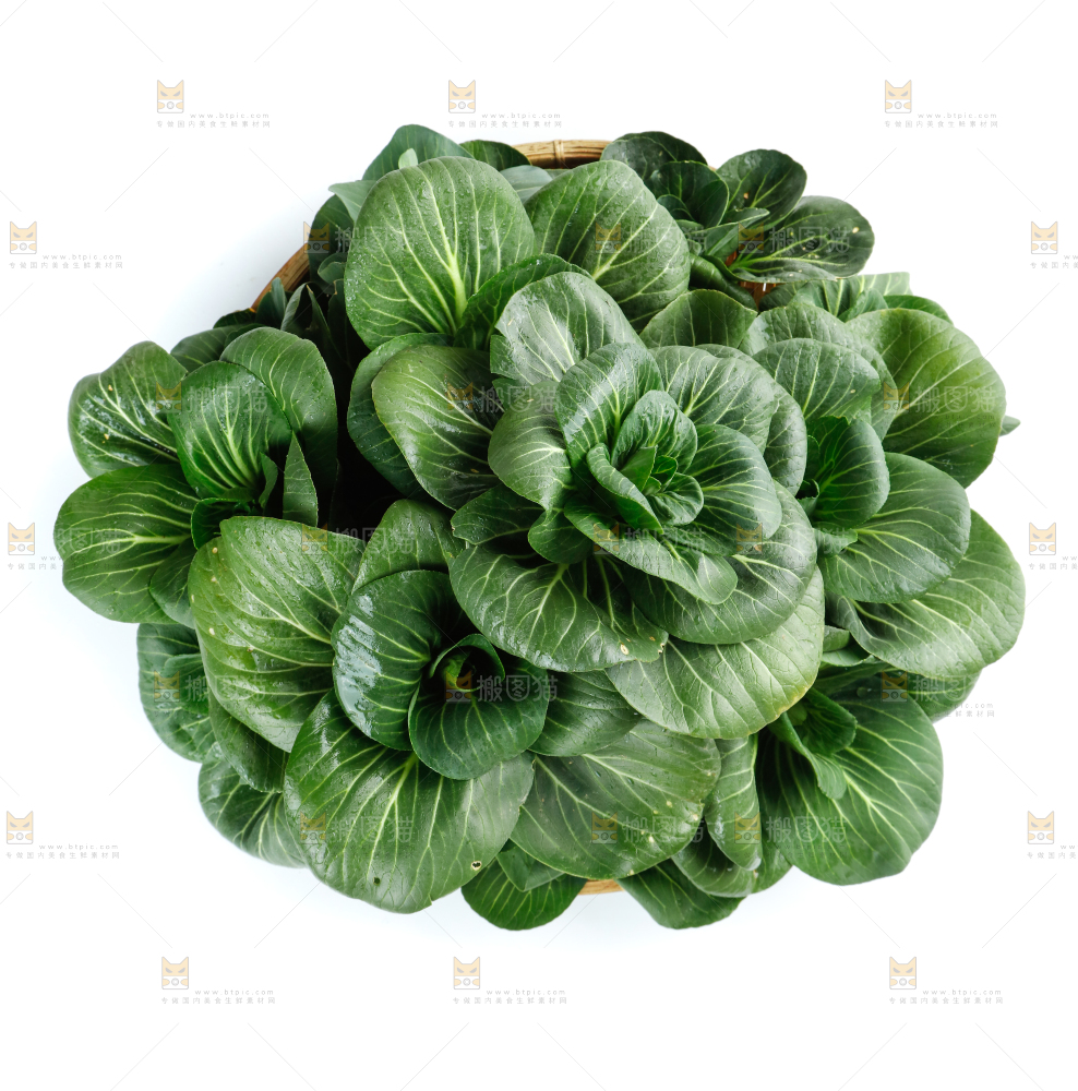 白底上的绿叶菜
