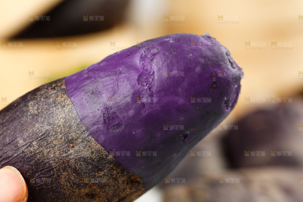 手里拿着新鲜土豆