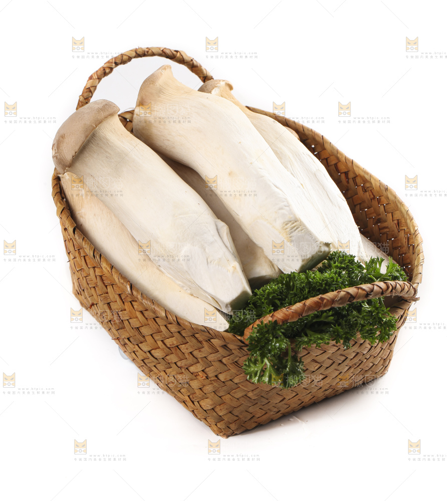 篮子里的菌菇