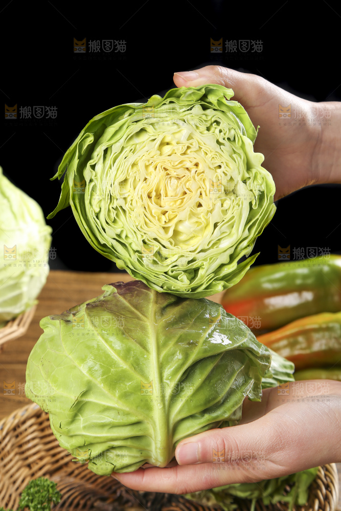 手里拿着洋白菜