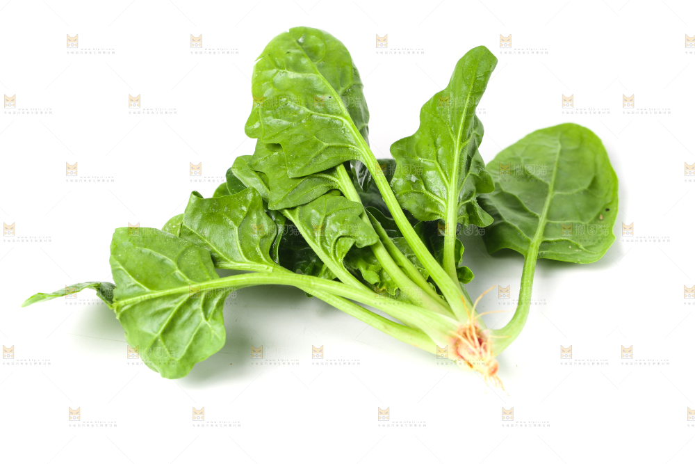 白底上放着菠菜