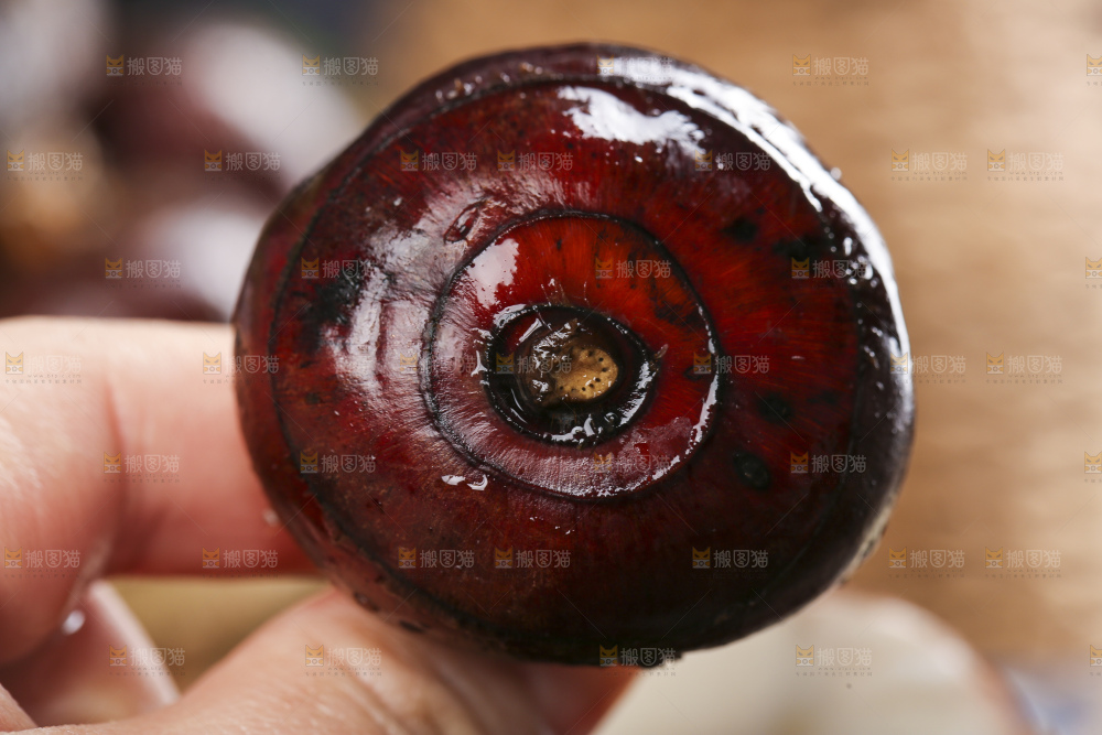 手里拿着菩荠