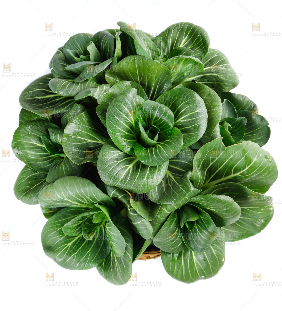 白底上的绿叶菜
