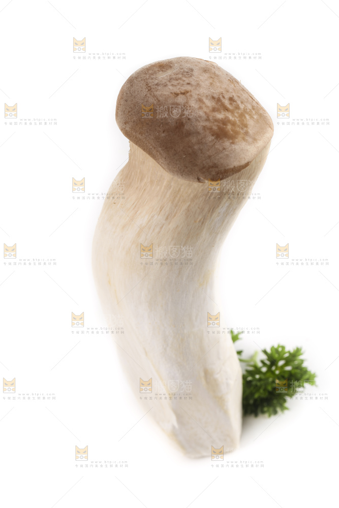 白底上放着大鸡腿菇