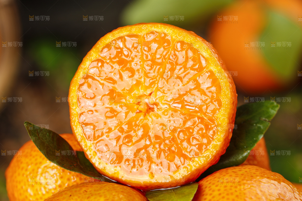 深底上的广西砂糖橘