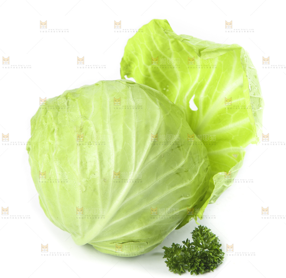 白底上的甘蓝包菜