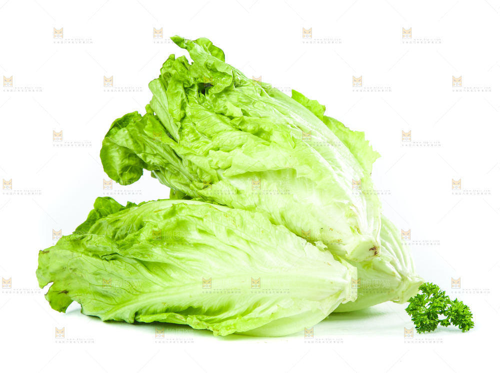 白底上的生菜