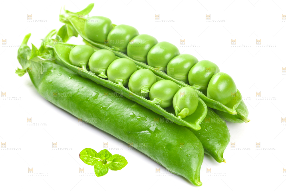剥开的新鲜豌豆放在白底上