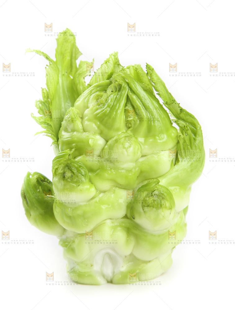 儿菜