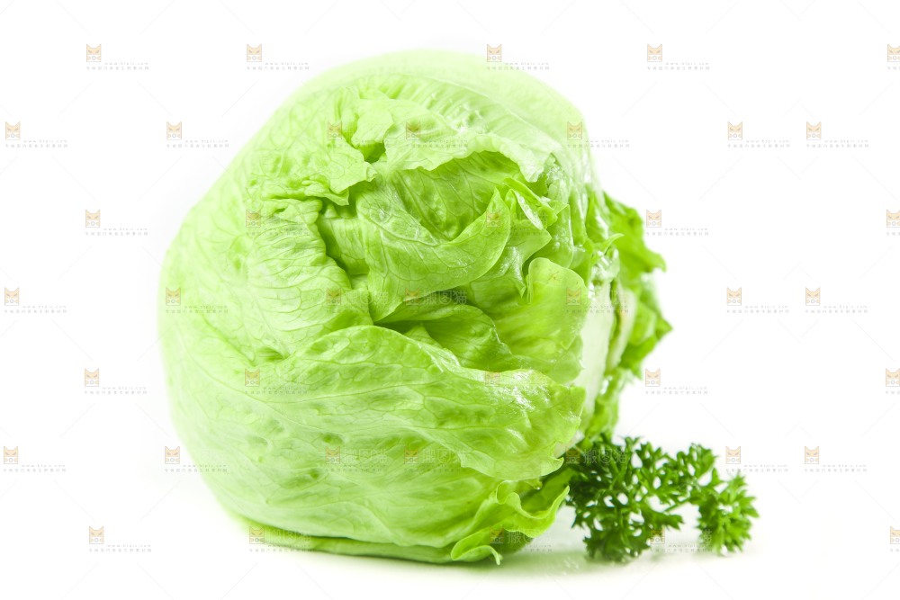 白底上的新鲜生菜