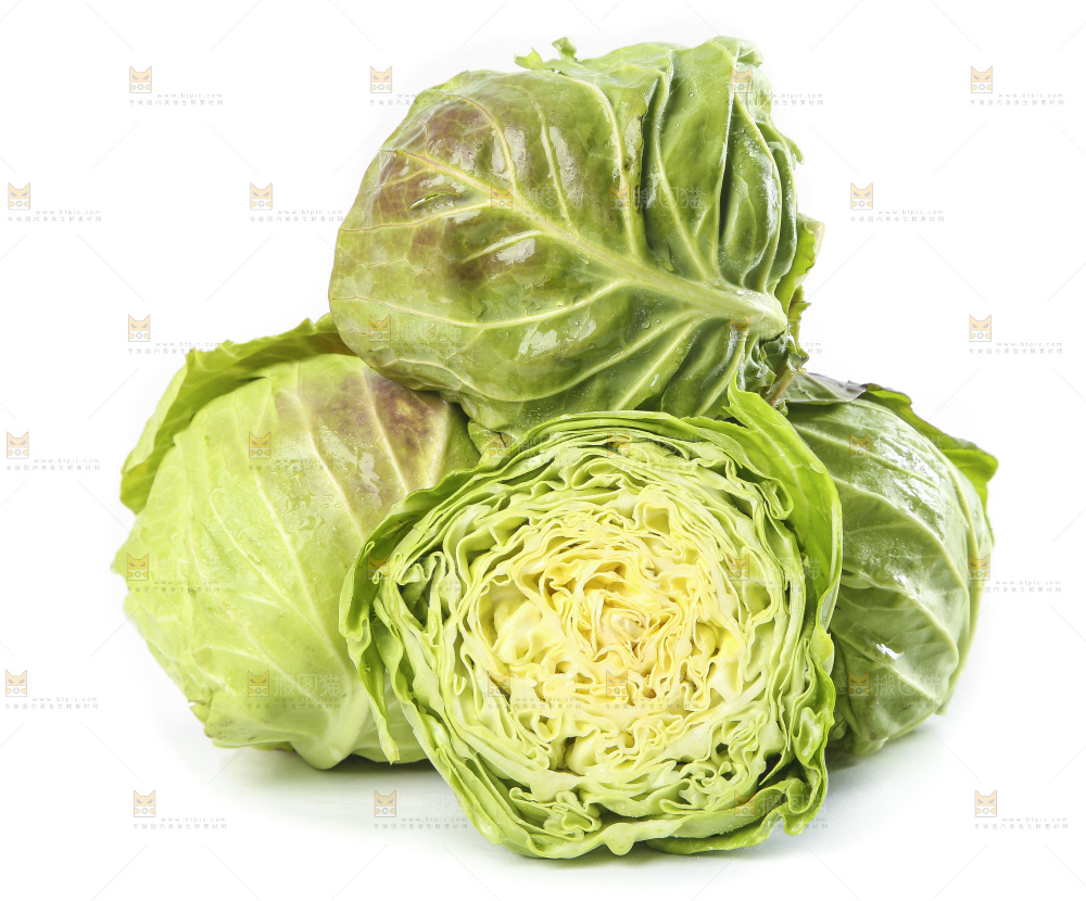 白底上的甘蓝包菜