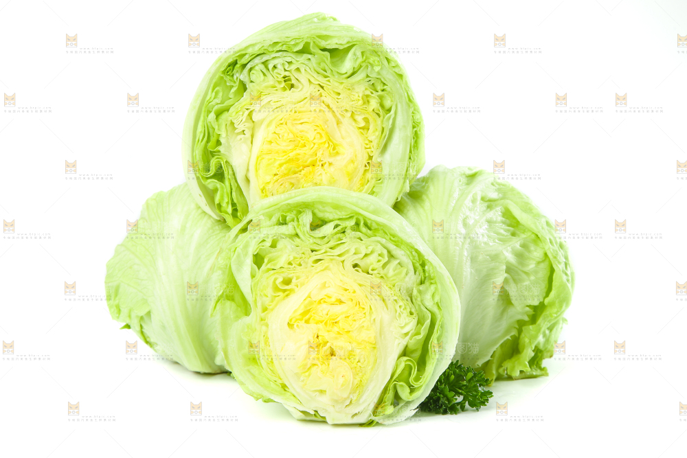 白底上的新鲜生菜