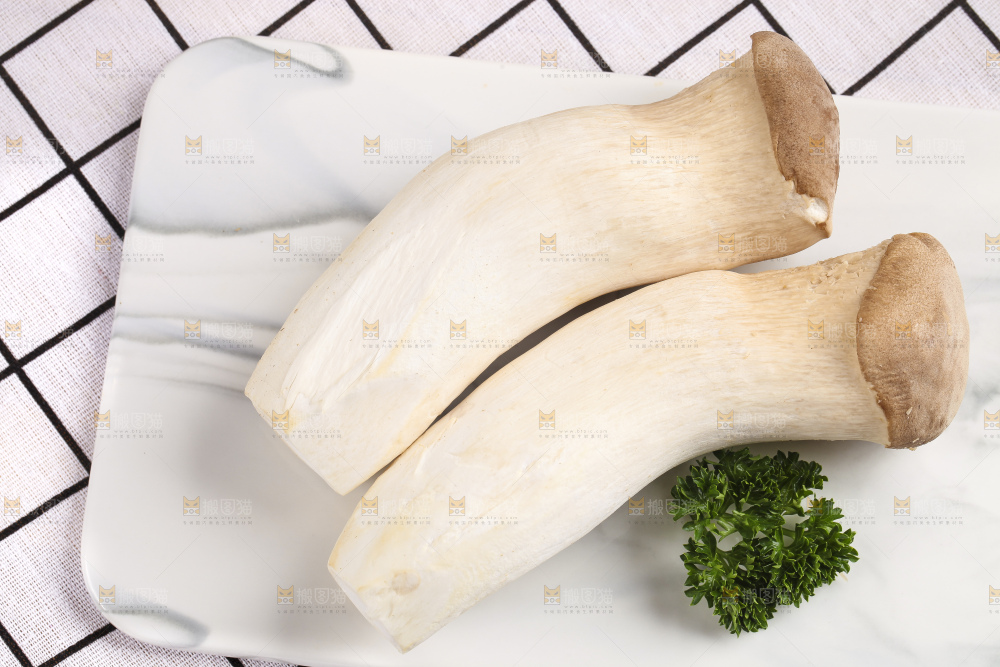 石板上摆放着鸡腿菇