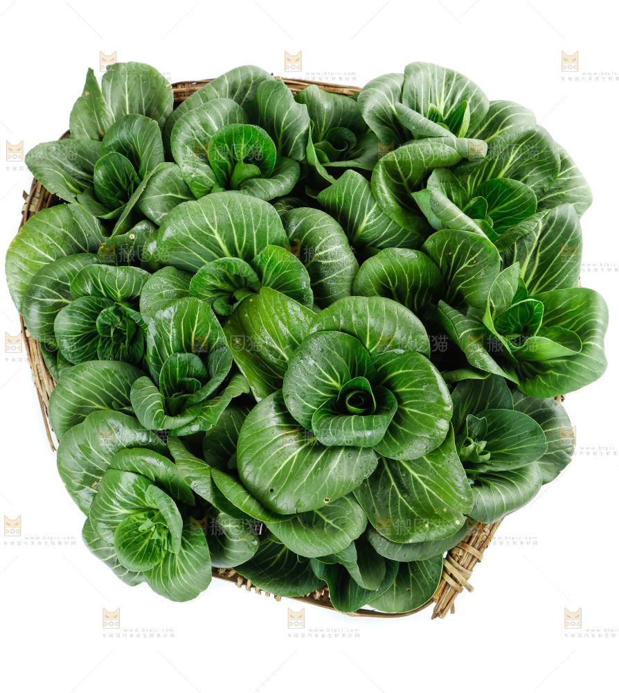 白底上的绿叶菜