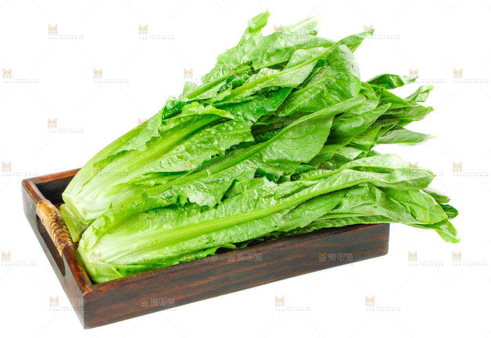 白底上放着油麦菜