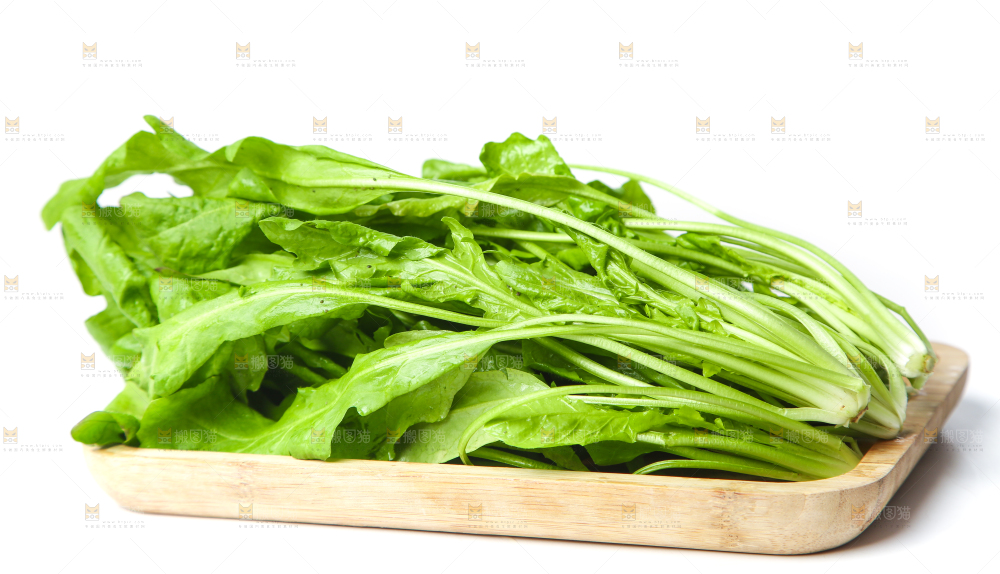 荠菜