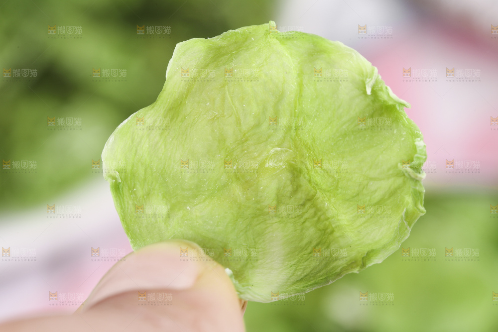 深底上的干莴笋