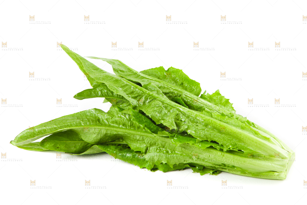 白底上的香麦菜