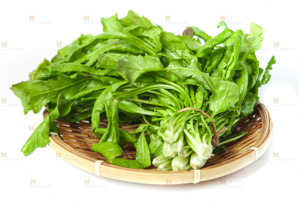 荠菜