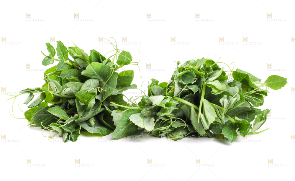 白底上摆放着新鲜豌豆苗