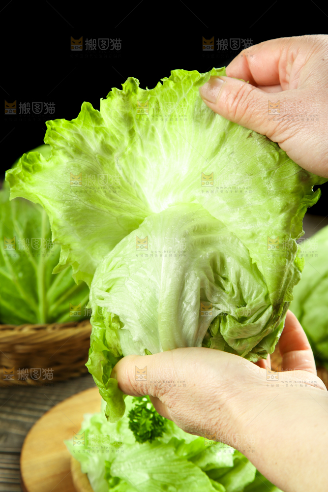 深底上的圆形生菜