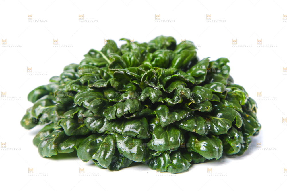 白底上的菊花菜