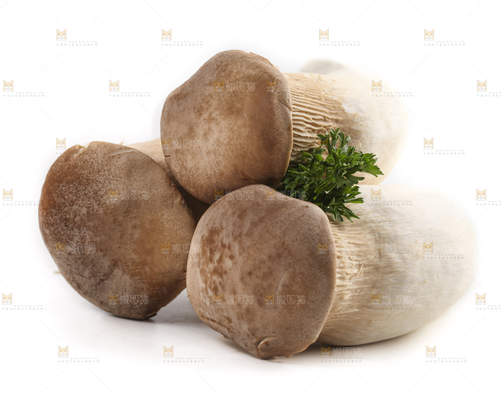 白底上放着大鸡腿菇
