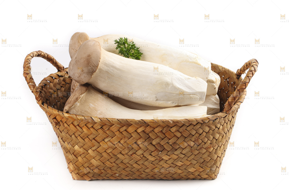 篮子里的菌菇