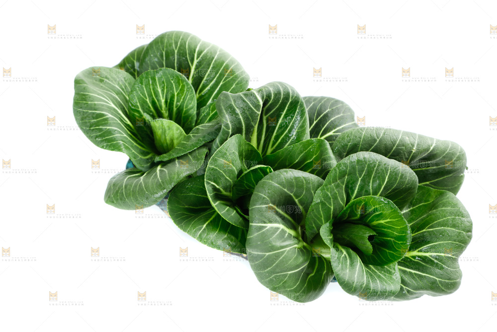 白底上的绿叶菜