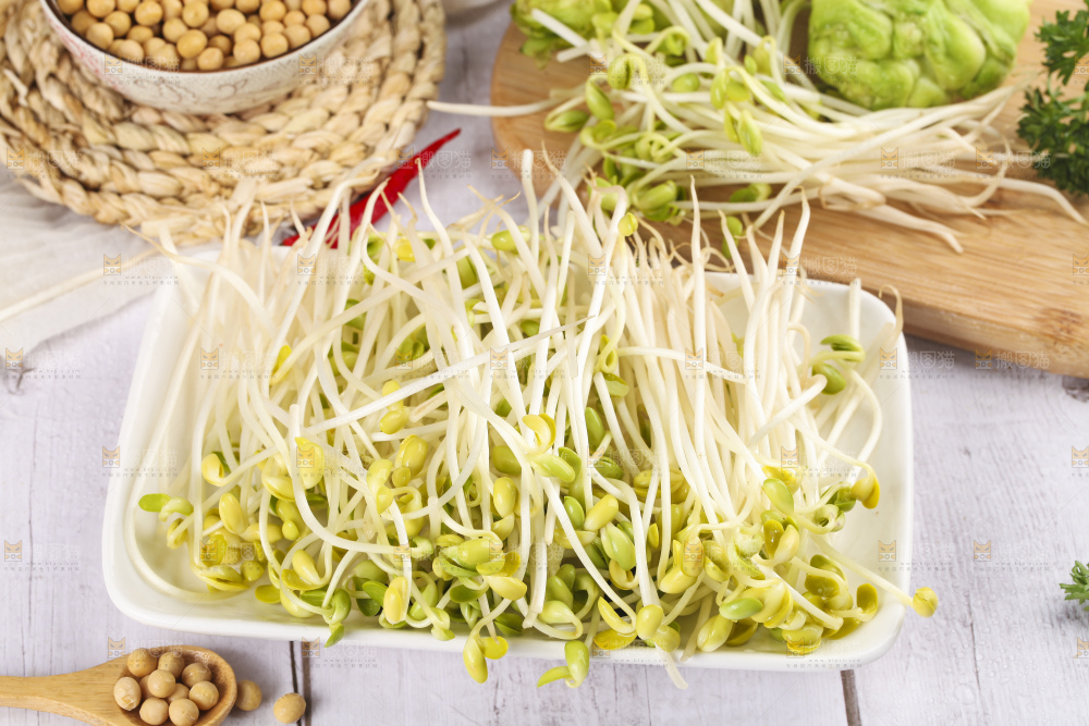 盘子里的豆芽