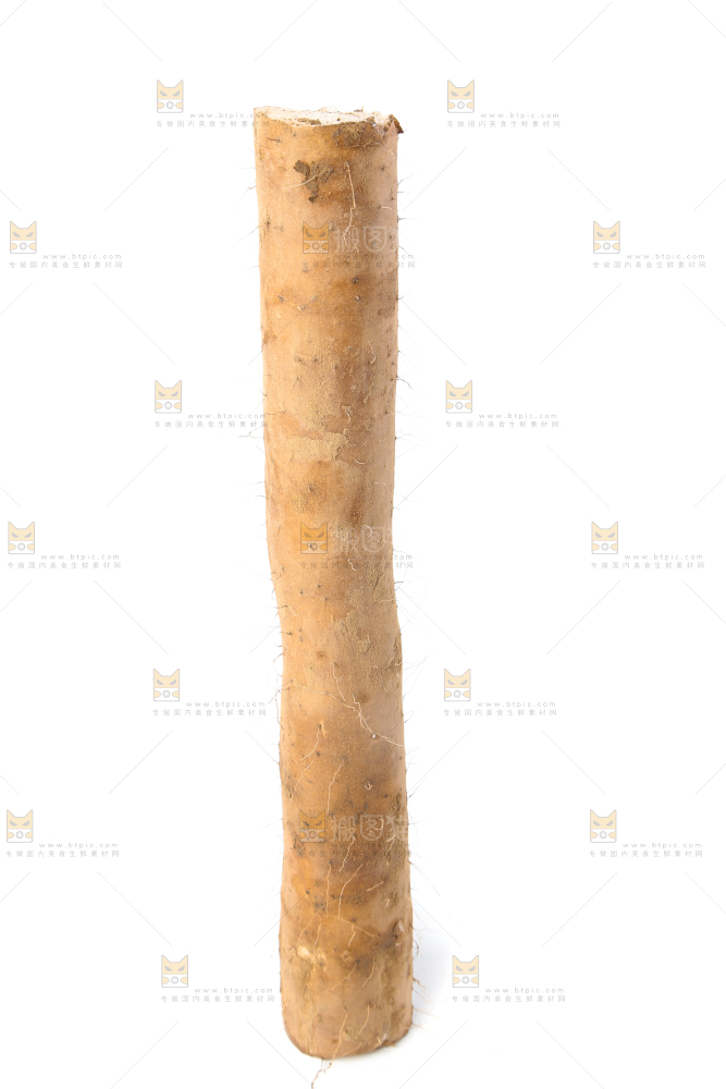 白底上的新鲜山药