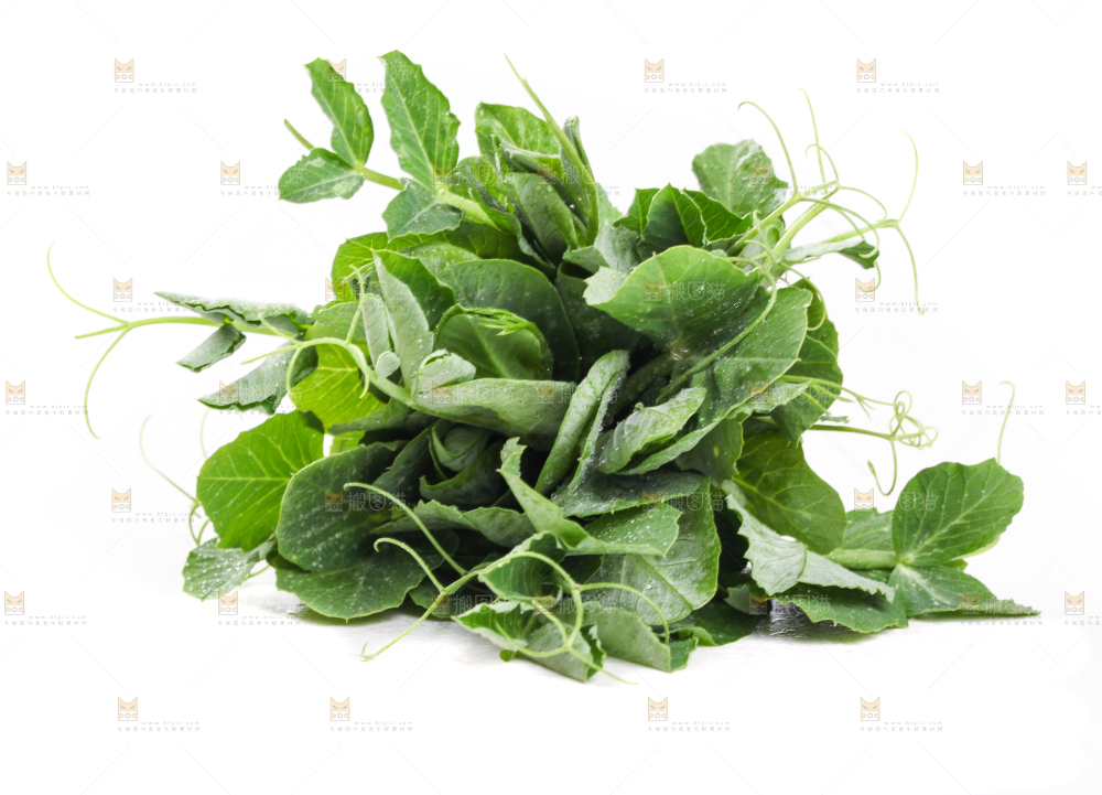 白底上摆放着新鲜豌豆苗